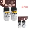 ค้างคาวสีเทา
