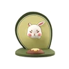 Avocado bunny