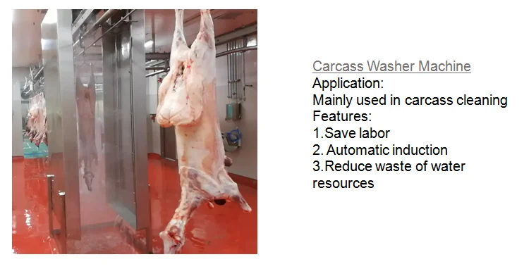 Halal sheep automatic slaughtering equipment is used in mutton slaughterhouses