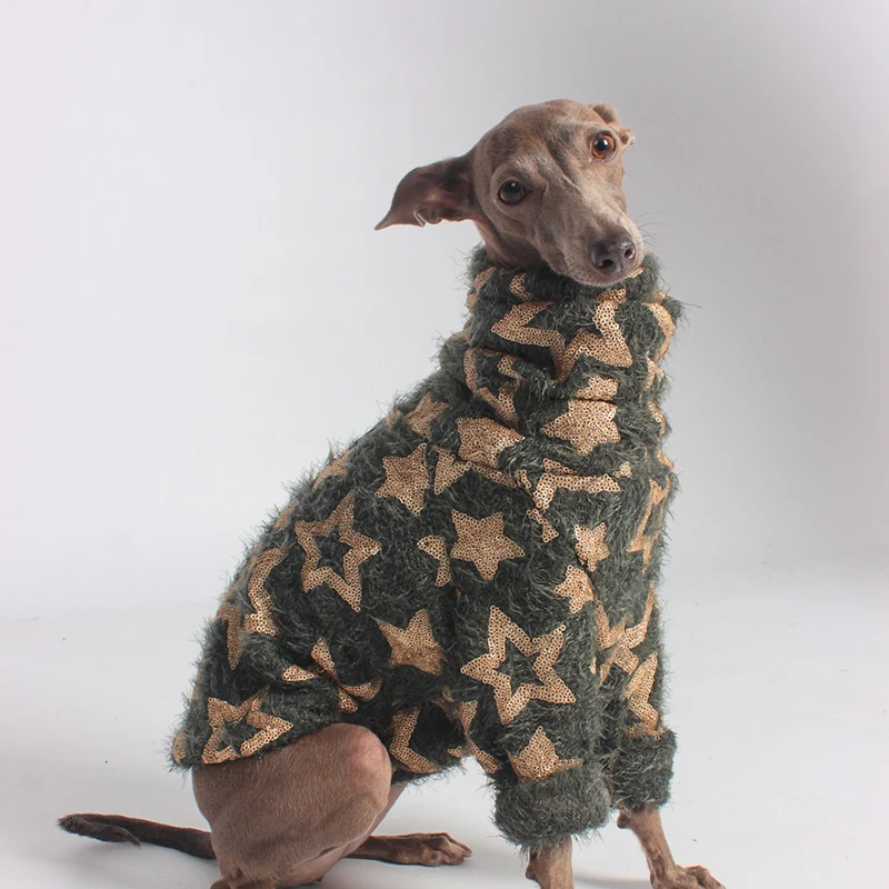 Italian Greyhound Clothing