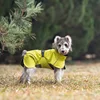 Fluorescent green