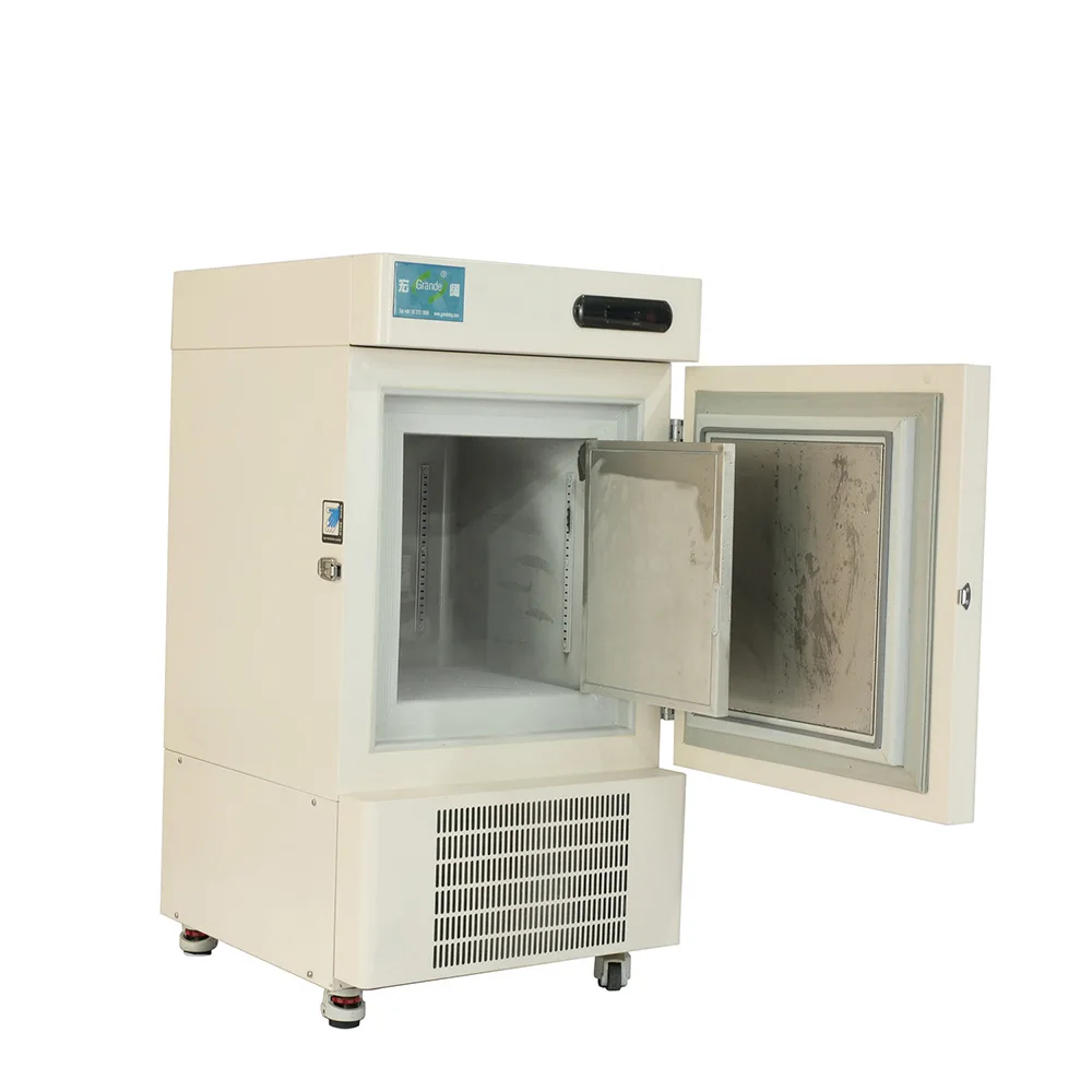 CE Certified Laboratory Medical Deep Freezer Cold Storage Chamber