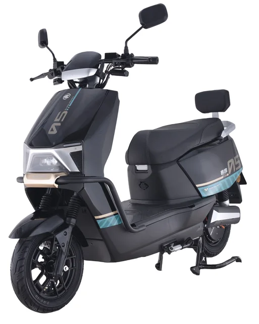 EEC Electric Scooter Model for Adults Q5