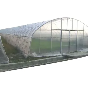 Factory Supply Commercial Hall Float Tempered Agricultural Lean To Glass Green House Greenhouse Polycarbonate