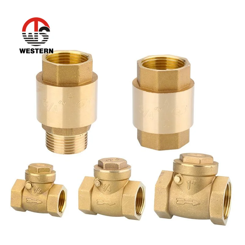 1/2 - 4 дюйма, гигиенический кованый латунный поворотный вертикальный пружинный обратный клапан