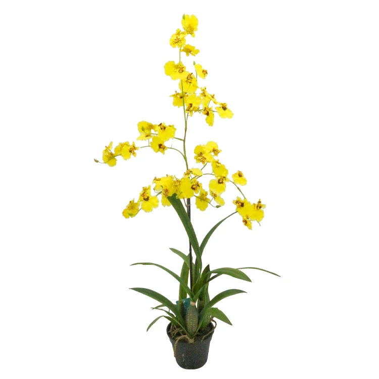 Pack of 12 Arcadia Silk Plantation 40 New Dancing Orchid Spray x77 Yellow
