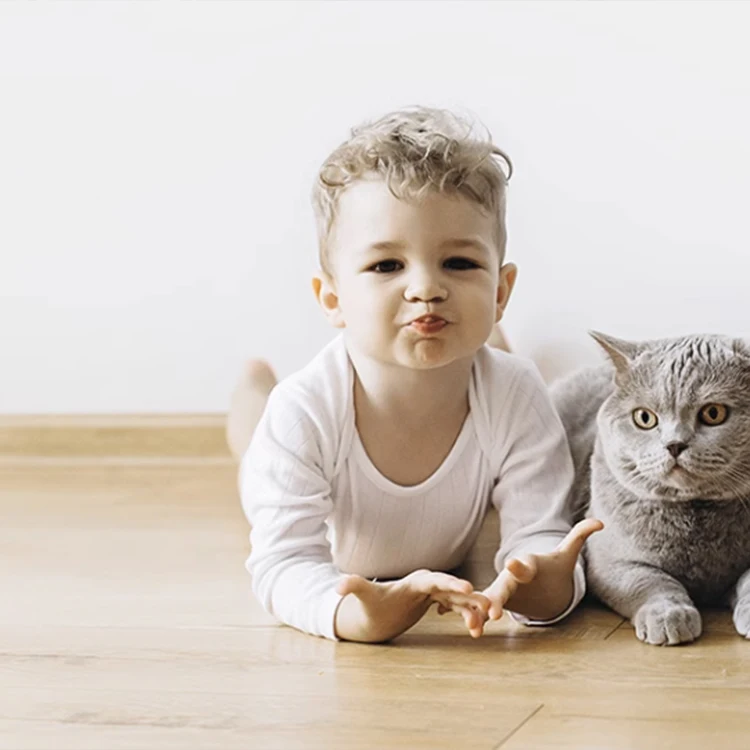 Водонепроницаемый износостойкий ПВХ виниловый пол Гибридный водонепроницаемый 5 мм 12 Spc