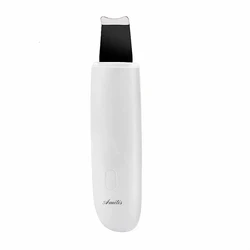 Face Steamer