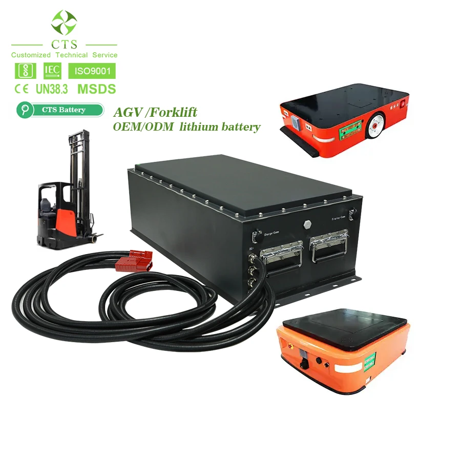 CTS Factory Custom 24V 36V 48V 72V 100Ah 200Ah 300Ah Lifepo4 Battery AGV Robot Golf Cart Lithium Ion Batteries Pack