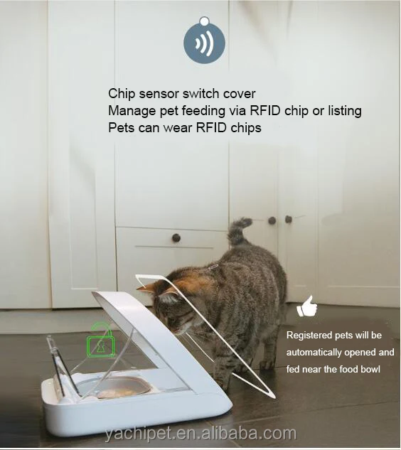 Automatic Pet Feeder Microchip Pets Feeder Suitable Both Wet Dry Food Free Eoutletdeals Value