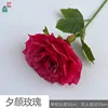 Xi Yan Rose EH rosa roja
