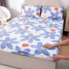 VIOLETA