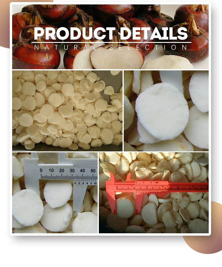 Wholesale IQF Frozen Water Chestnut Whole Peeled Water Chestnuts for Supermarkets