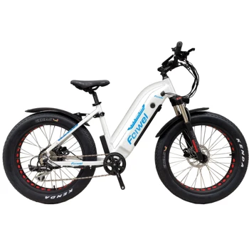 Hydraulic disc brake electric bike with hidden battery/ ladies urban fat e bike big power electric bicycle f