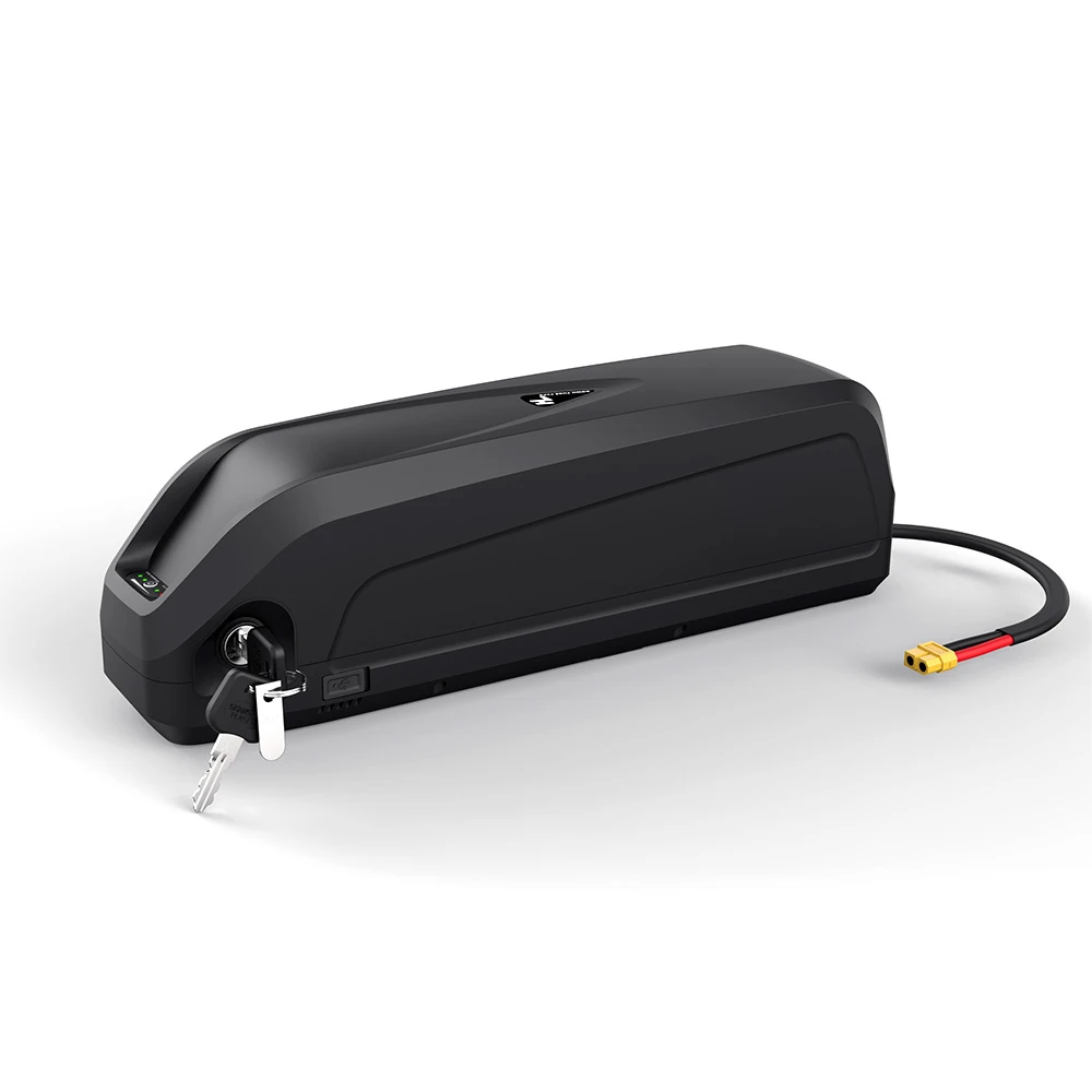 48 V 42 Ah 13S3P E-Bike Lithium-Ion Battery Pack With Charger Built-in