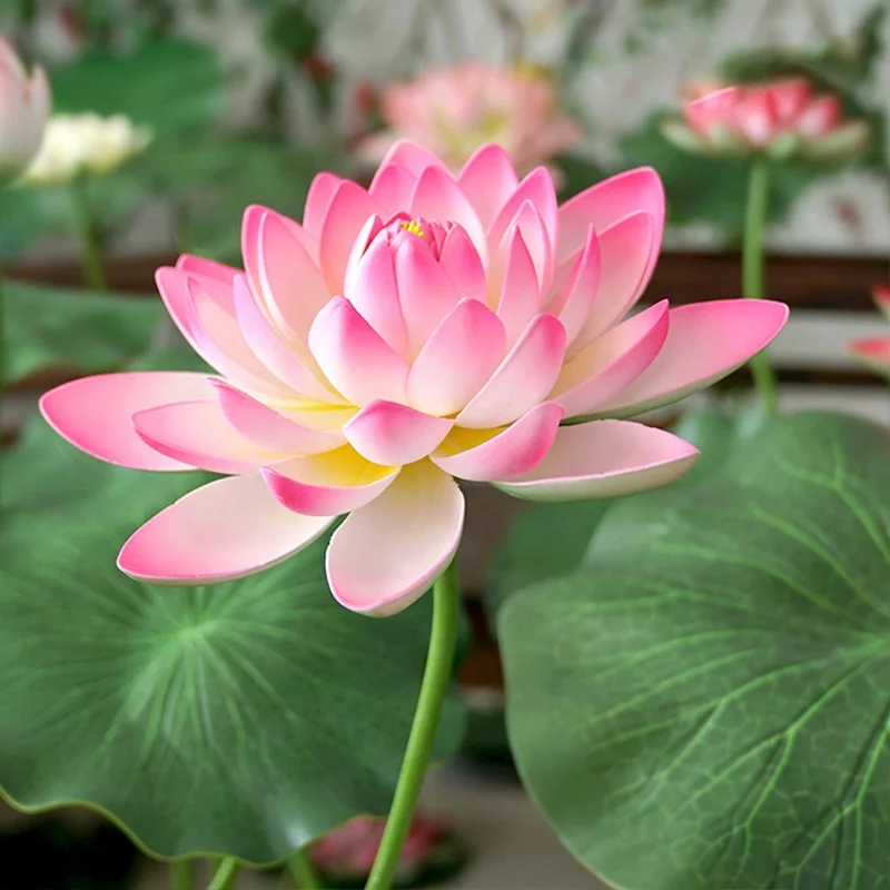 KEWEI 705 Grohandel Lotus Knstliche Blume Real Touch Weich gummi  Lotusblume Groes Lotus blatt Fr Heim textilien
