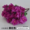 Purple Six-pronged Rhododendron