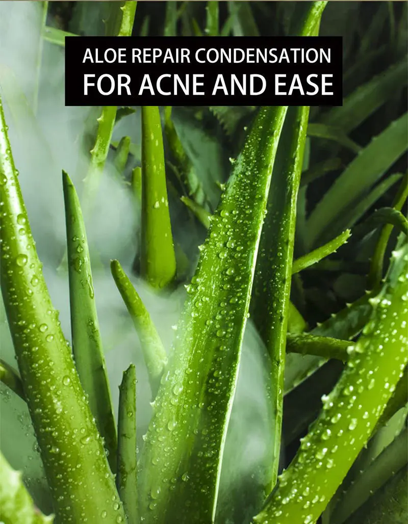 aloe gel vera