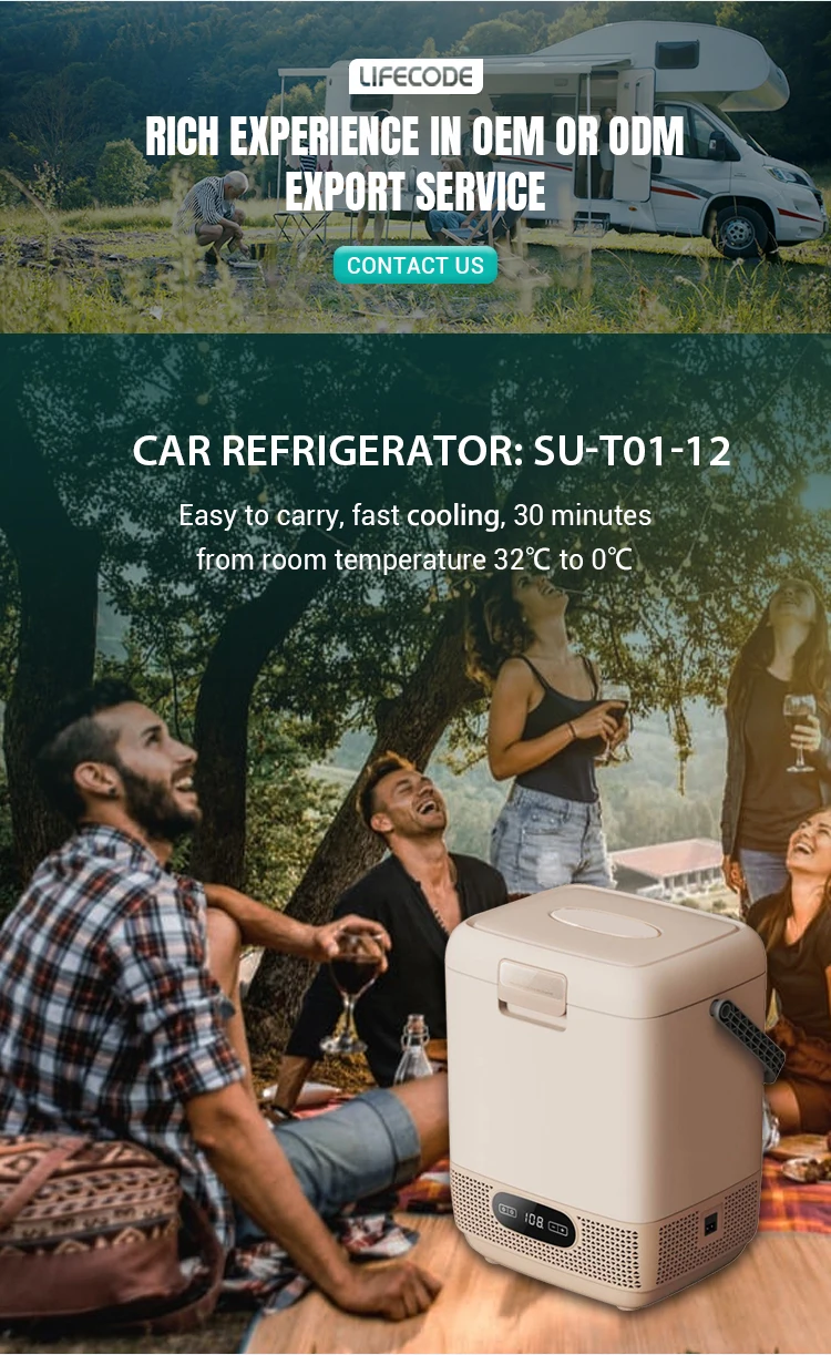 Easy Move Car Fridge With Elegant Handle Buy Car Refrigerator 12v,12l