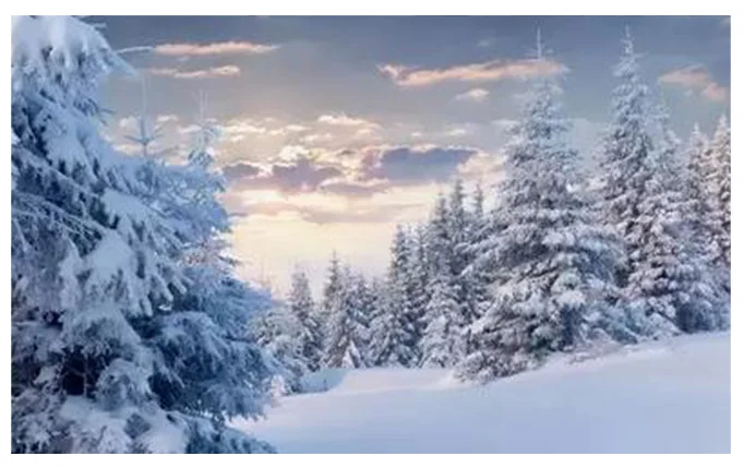 Flat Pack Container House with Bathroom and Kitchen Flat Pack Container House with Bathroom and Kitchen