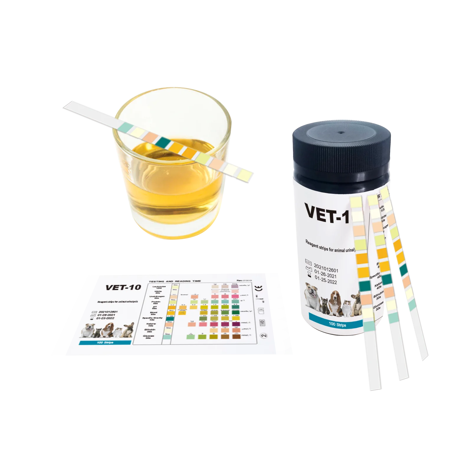 10parameter Urine Test Strips For Cat & Dog 10 In 1 Uti Test Kit Pets