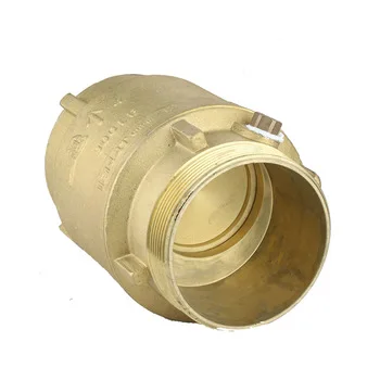 Brass Check Valve details
