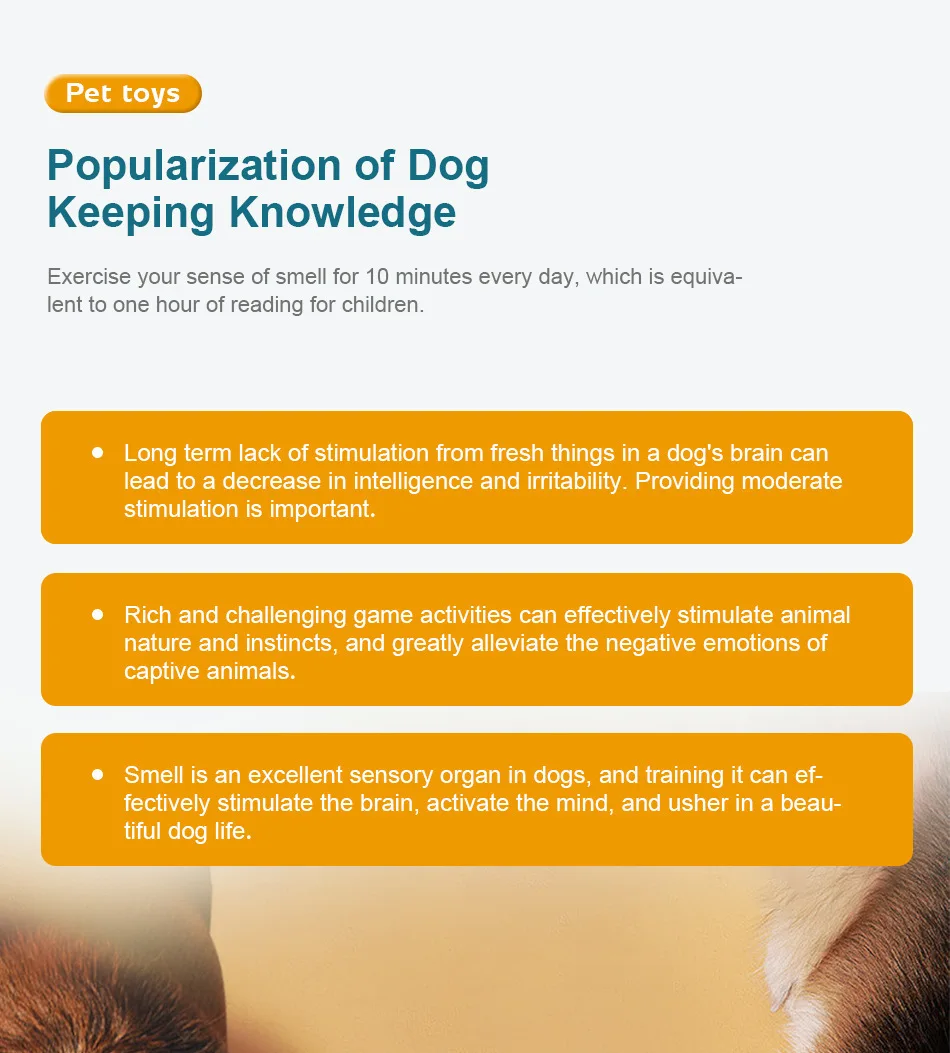 Pet Toys New Rotary Feeding Toys Slow Food Bowl Dog Rotary Table Gnawing Resistance Training Puzzle Dog Toys manufacture