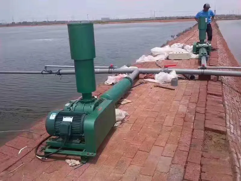 Roots Blower, 1.5KW, Cast - detail 42