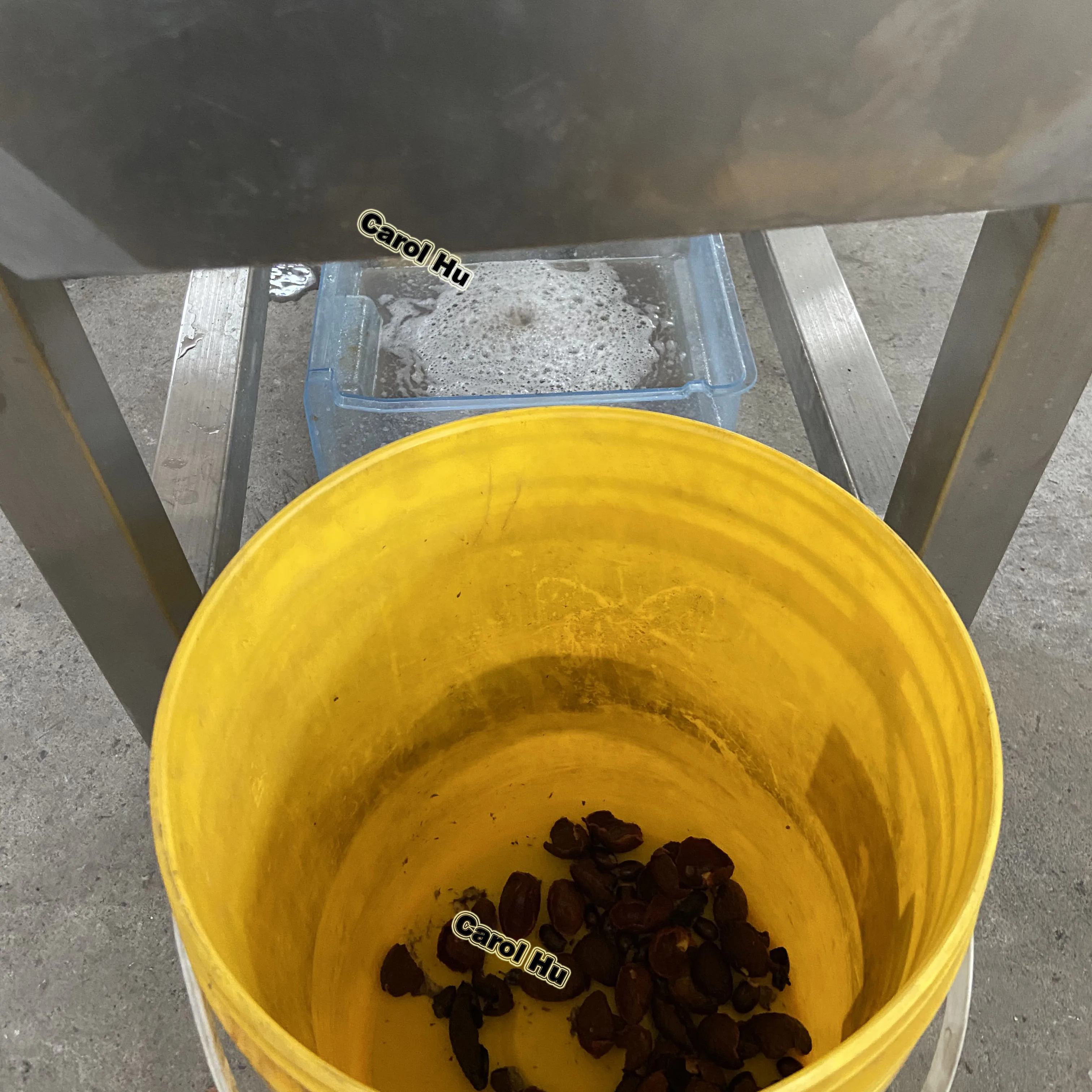 Small Fresh Litchi Skin Lychee Peeling and Pitting Machine 500KG Per Hour