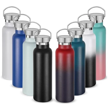 20 oz Insulated Water Bottles Stainless Steel Double Wall Sport Bottle with Lid of Handle Metal Thermoses Flasks