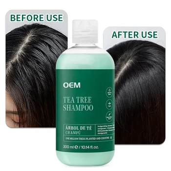 OEM Wholesale Organic Formula Refreshing Invigorates The Scalp Helps Wash Away Impurities Tea Tree Shampoo For Oily Hair