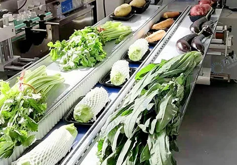 Pillow Packing Machine for  Iceberg Lettuce Vegetable Packing Machine Pillow Bag Packing Machine