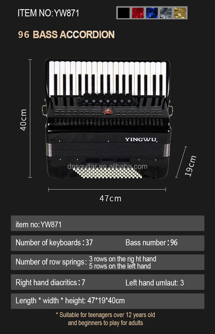 120 Bass Parrot Accordion - Yingwu Piano Keyboard Instrument