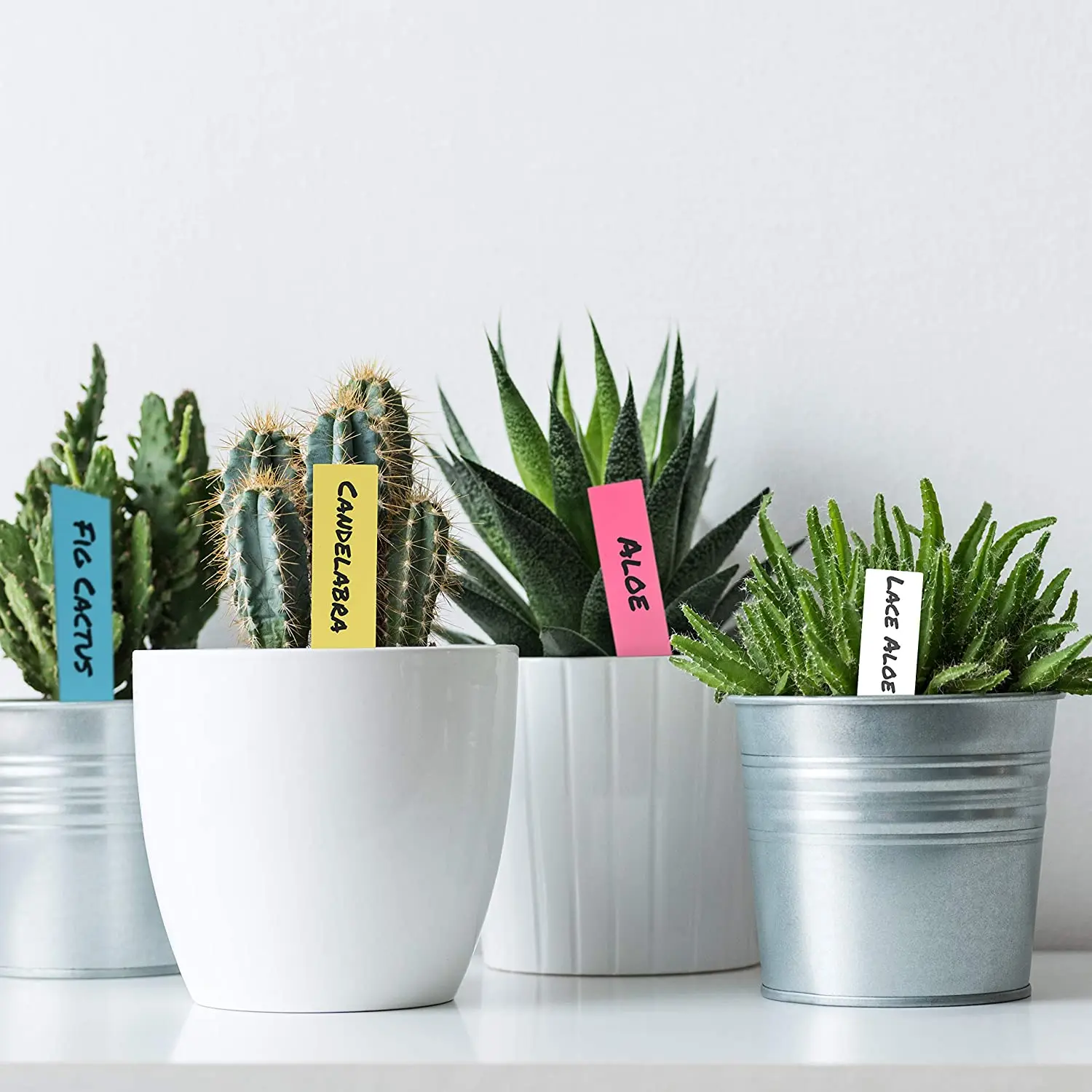 One Shaped Plastic Plant Label 100 Sheets Of Pp Waterproof Succulent Plants Labels Thickened