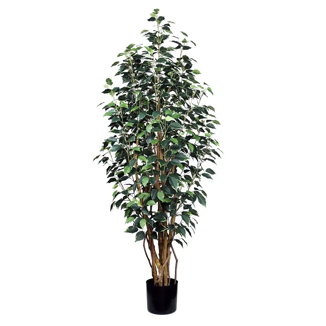 160厘米人工榕树benjamin microcarpa| Alibaba.com