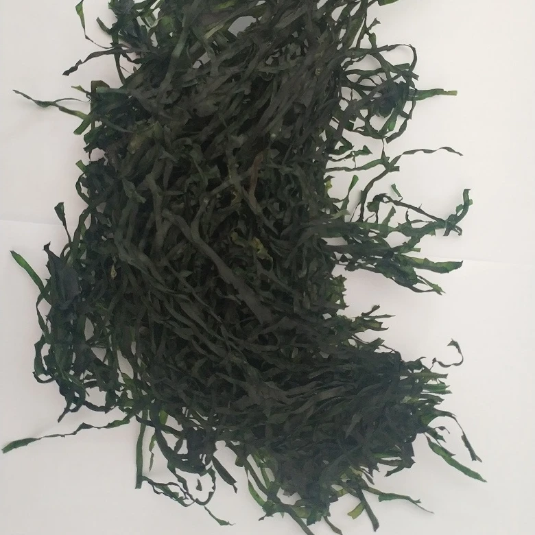 New Corp Of Air Dried And Frozen Dried Kelp Laminaria Japonica Seaweed For Salad Buy Dried Kelp Laminaria Japonica Seaweed Salad Product On Alibaba Com