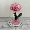 Cerise en poudre fond argent sans lampe avec boîte cadeau
