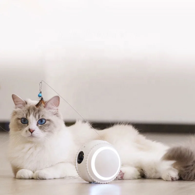 Wholesale Smart AI Robot Interactive Rolling Ball with FHD Camera Wireless Control Via Smart App for Cats Dogs Pet Companion