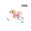 Dachshund - Skin