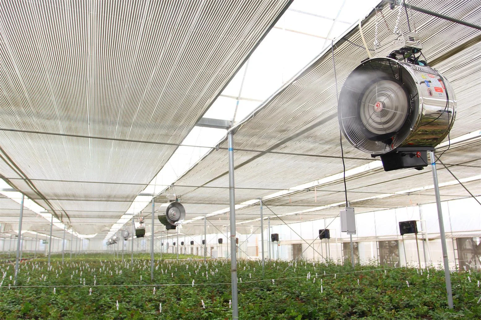 Black out greenhouse