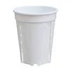 White Pot only