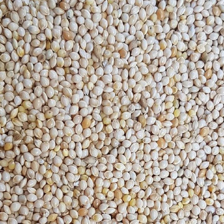 white and red millet