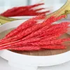 gh-001-red-50 stems