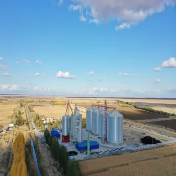 Heavy-Duty Assembled Galvanized Silo Tailor-Made for Large Scale Storage