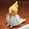 Bambola Pappagallo Bianco