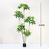 Nuevo Árbol del Dinero - 220cm (incluye base negra)