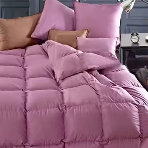 Factory Wholesale Duck Goose Feather and Hotel Duvet Comforter Blanket Down Quilt Goose Feather