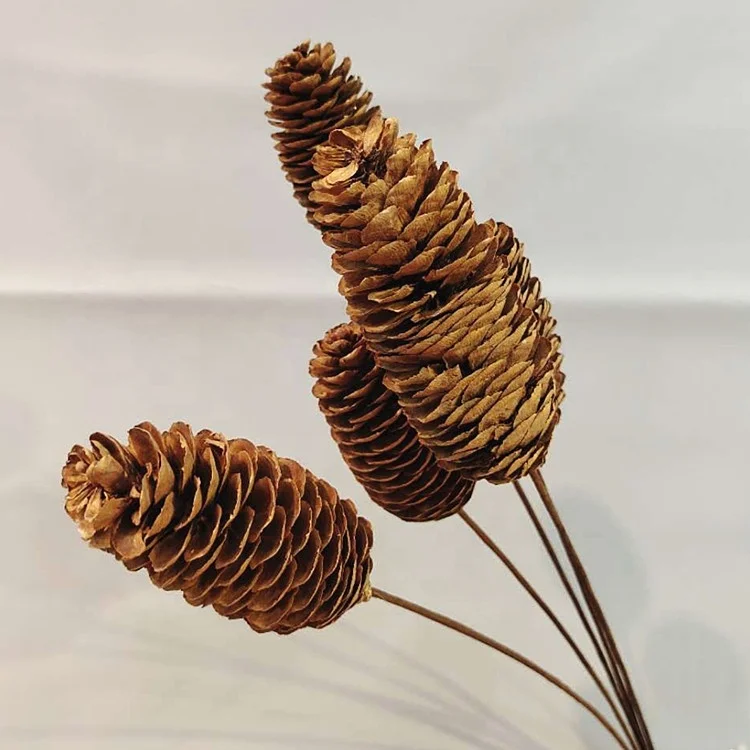Pine Cones – Longs Florist Supply