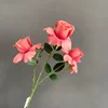 Rosa Madder  MOQ: 150 pezzi/colore