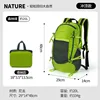 Verde Bosque [Autoplegable y Almacenamiento]